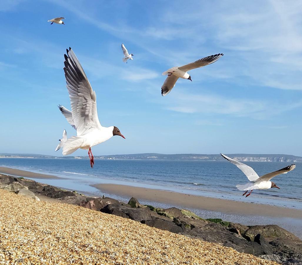 Wildwood Lymington